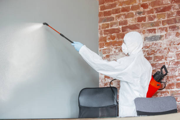 Professional Mold Removal in Pendleton, OR
