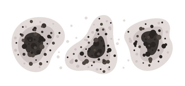 Best Air Quality Testing for Mold Spores  in Pendleton, OR